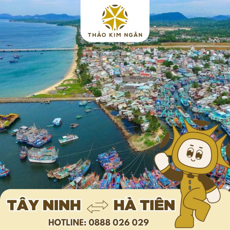 Xe giường nằm Tây Ninh đi Cần Thơ Thảo Kim Ngân